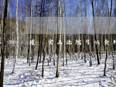 罐頭食品法院可以查封扣押嗎