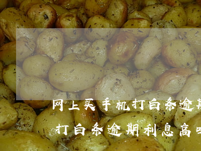 网上买手机打白条逾期利息高吗(网上买手机打白条逾期利息高吗)