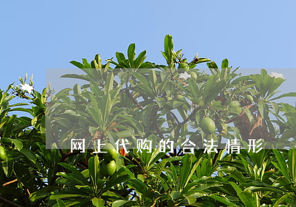 网上代购的合法情形