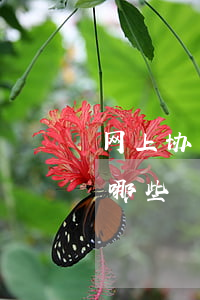 网上协商还款的机构(网上协商还款的机构有哪些)