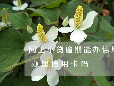 网上小贷逾期能办信用卡吗(网贷有逾期可以办理信用卡吗)
