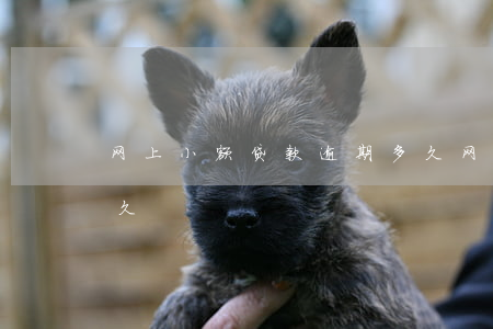网上小额贷款逾期多久(网上小额贷款逾期多久)