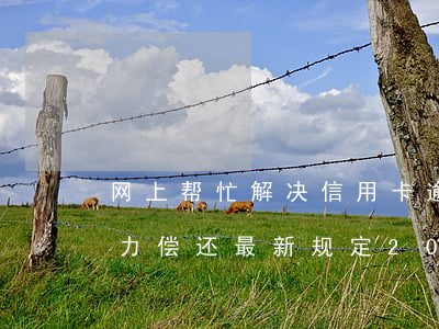 网上帮忙解决信用卡逾期是真是假-网贷无力偿还最新规定2023