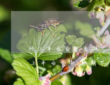 网上平台贷款逾期不还怎么处理最有效-网上平台贷款逾期不还款会怎么样