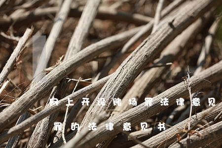 网上开设赌场罪法律意见书(不构成开设赌场罪的法律意见书)