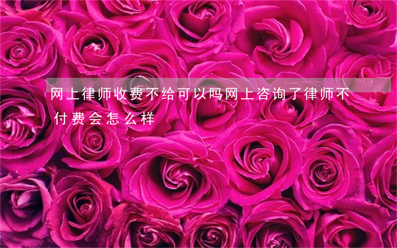 网上律师收费不给可以吗(网上咨询了律师,不付费会怎么样)