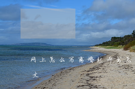 网上怎么写离婚起诉书(怎样写离婚起诉书范文)