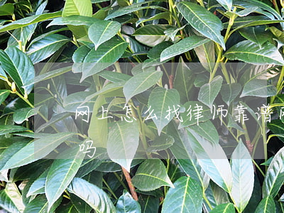 网上怎么找律师靠谱(网上找律师事务所可靠吗)