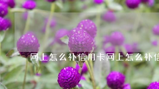 网上怎么补信用卡(网上怎么补信用卡卡号)