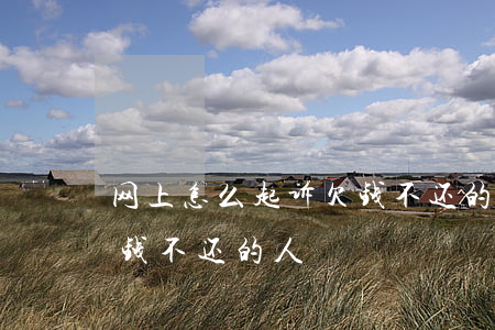 网上怎么起诉欠钱不还的人(如何网上起诉欠钱不还的人)