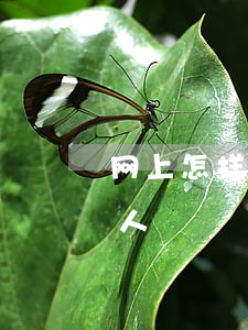 网上怎样起诉欠钱的人 网上怎样起诉欠钱的人