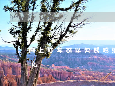 网上打车可以欠钱吗(滴滴打车是从网上付钱么)