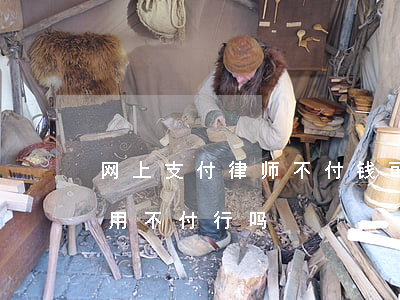 网上支付律师不付钱可以吗(网上咨询律师费用不付行吗)