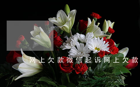 网上欠款微信起诉(网上欠款微信起诉有用吗)