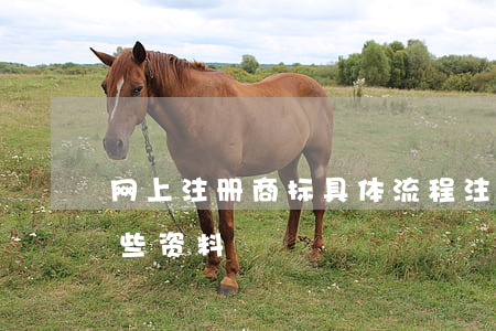 网上注册商标具体流程（注册商标需要提交哪些资料）