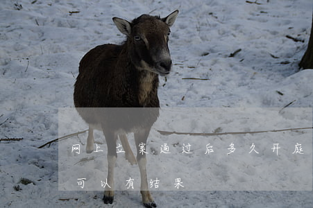 网上立案通过后多久开庭(网上立案一般多久可以有结果)