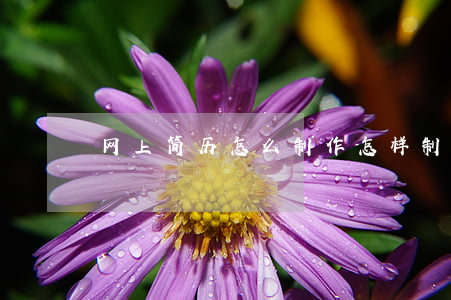 网上简历怎么制作(怎样制作简历电子版的)