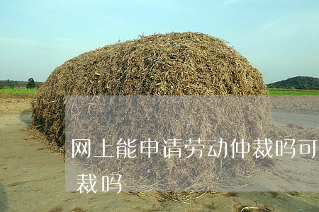 网上能申请劳动仲裁吗(可以直接申请劳动仲裁吗)