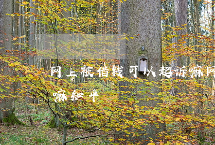网上被借钱可以起诉嘛(网上被借钱可以起诉嘛知乎)