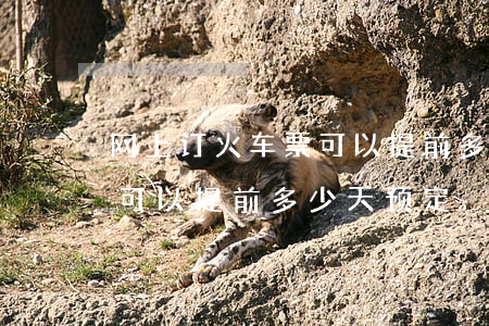 网上订火车票可以提前多少天(网上订火车票可以提前多少天预定)