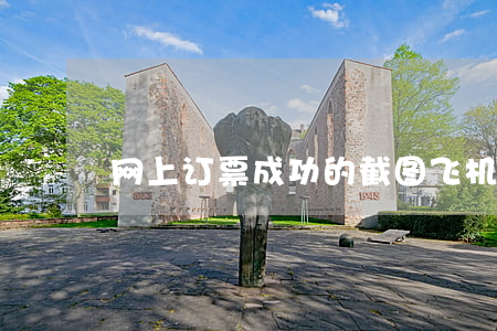 网上订票成功的截图(飞机票订票成功的截图)