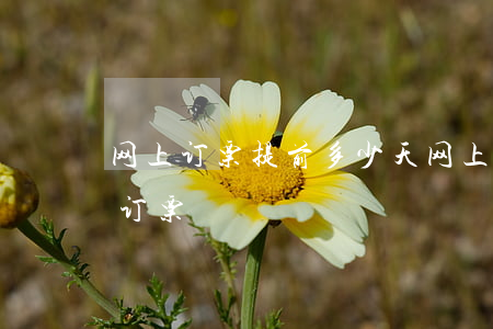 网上订票提前多少天(网上可以提前多长时间订票)