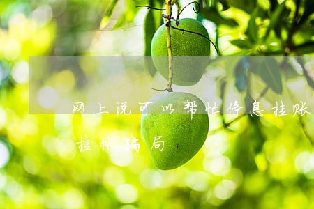 网上说可以帮忙停息挂账是真的假的-停息挂帐骗局