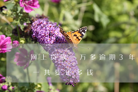 网上贷款一万多逾期3年(网贷一万逾期一年一共要还多钱)