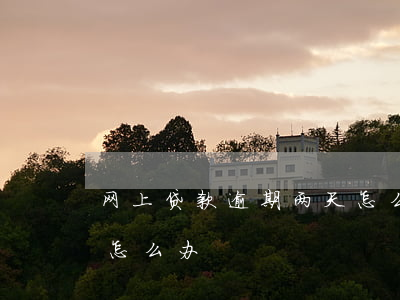 网上贷款逾期两天怎么办(网上贷款逾期两天怎么办)