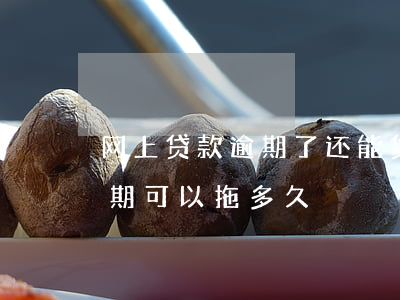 网上贷款逾期了还能贷款吗（正规网上贷款逾期可以拖多久）