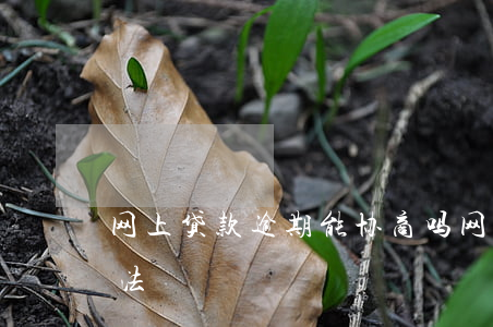 网上贷款逾期能协商吗(网贷逾期协商处理办法)