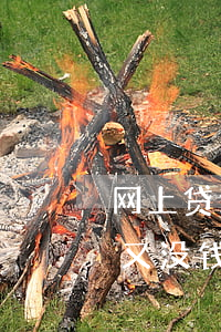 网上贷逾期了怎么办-网上贷逾期了怎么办又没钱还