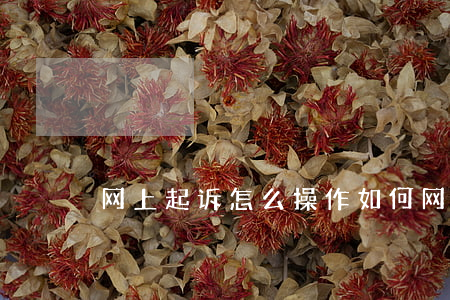 网上起诉怎么操作(如何网上民事起诉)