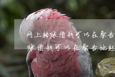 网上转账借钱可以在原告地起诉吗-网上转账借钱可以在原告地起诉吗安全吗