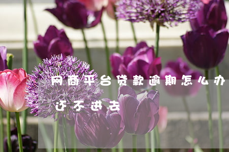 网商平台贷款逾期怎么办(网商贷逾期后,现在还不进去)