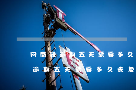网商袋逾期五天需要多久恢复征信-网商袋逾期五天需要多久恢复征信记录