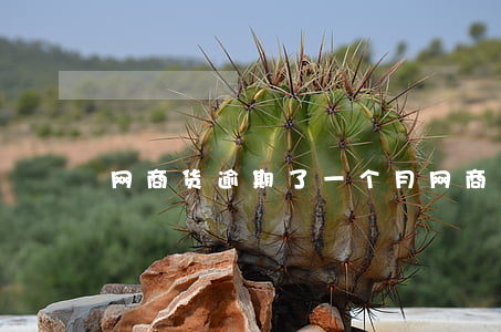 网商货逾期了一个月（网商货逾期了视频）