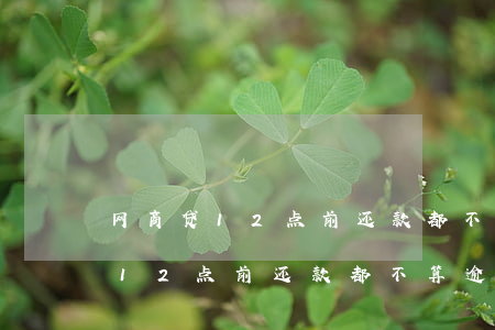 网商贷12点前还款都不算逾期吧-网商贷12点前还款都不算逾期吧吗