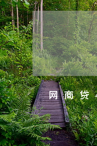 网商贷4万逾期三年了(网商贷逾期一年以上)