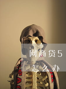 网商贷500逾期半年(网商贷5万逾期半年怎么办)