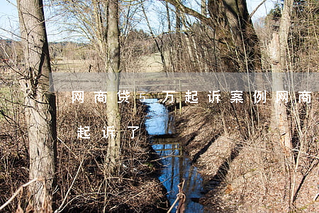 网商贷5万起诉案例 网商贷超过五万不还被起诉了