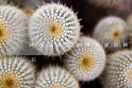 网商贷6次逾期上征信(网商贷几天逾期上征信)