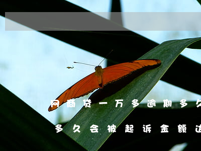 网商贷一万多逾期多久会被起诉(网商贷逾期多久会被起诉,金额达到多少?)
