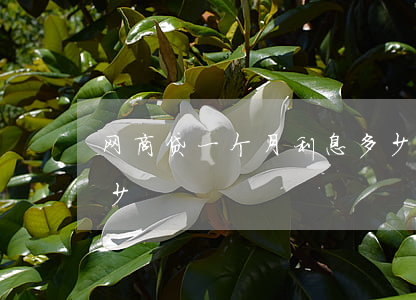 网商贷一个月利息多少-网商贷一个月还多少