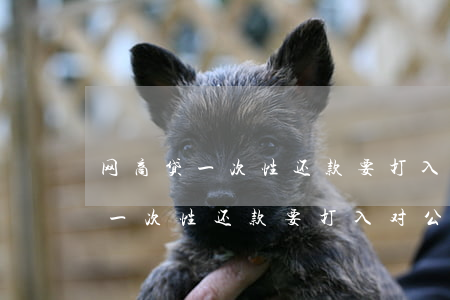 网商贷一次性还款要打入对公账户-网商贷一次性还款要打入对公账户吗