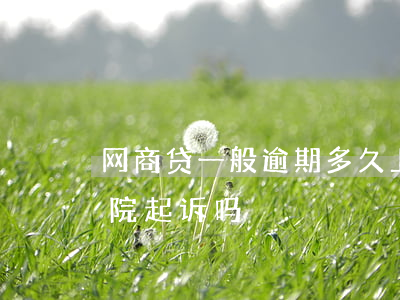 网商贷一般逾期多久上诉（网商贷逾期会上法院起诉吗）