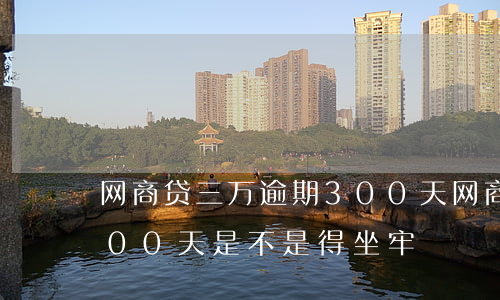 网商贷三万逾期300天(网商贷三万逾期300天是不是得坐牢)