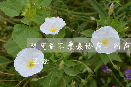 网商贷不愿意协商-网商贷不愿意协商打银监会