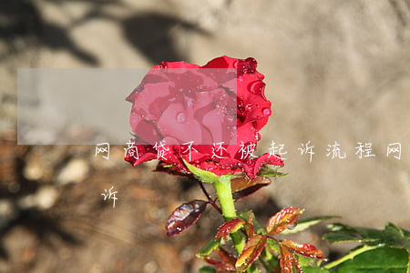 网商贷不还被起诉流程 网商贷不还会不会起诉