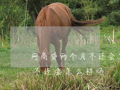 网商贷两个月不还会怎么样-网商贷两个月不还会怎么样吗